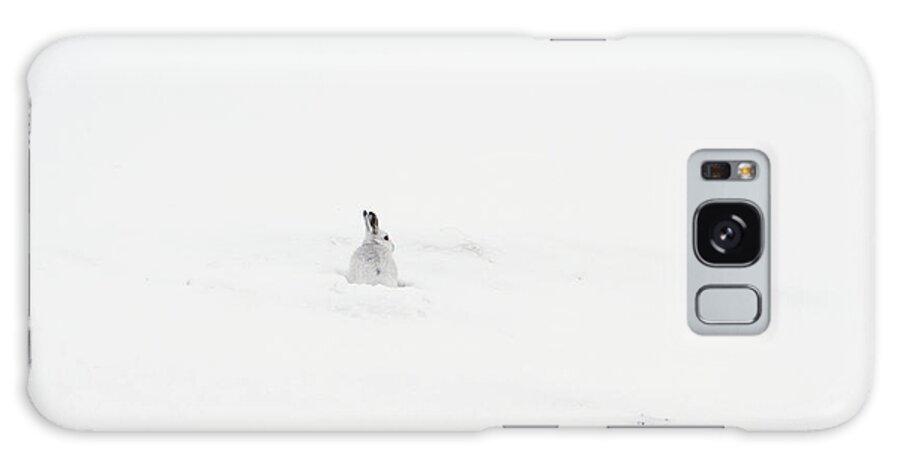 Mountain Galaxy S8 Case featuring the photograph Mountain Hare Small In Frame Left by Pete Walkden