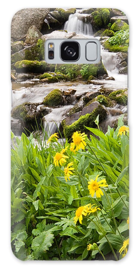 Water Galaxy Case featuring the photograph Mountain Waterfall and Wildflowers by Douglas Pulsipher