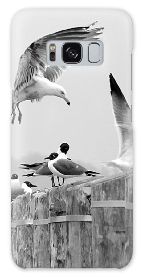 Birds Galaxy Case featuring the photograph Move It or Lose It Buster by Lori Lafargue