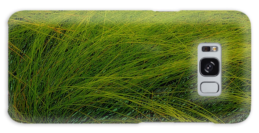 Grass Galaxy Case featuring the photograph Muchas Grassius by Joe Ownbey