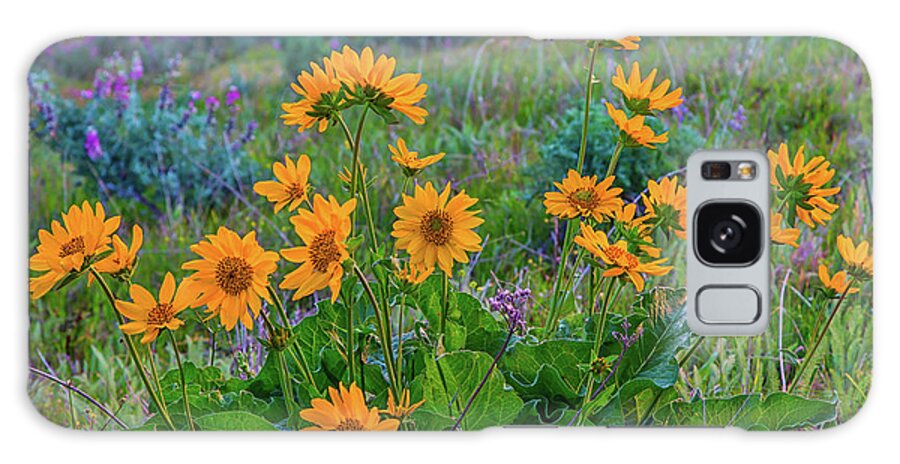 Landscape Galaxy Case featuring the photograph Mule's Ear and Lupine by Marc Crumpler