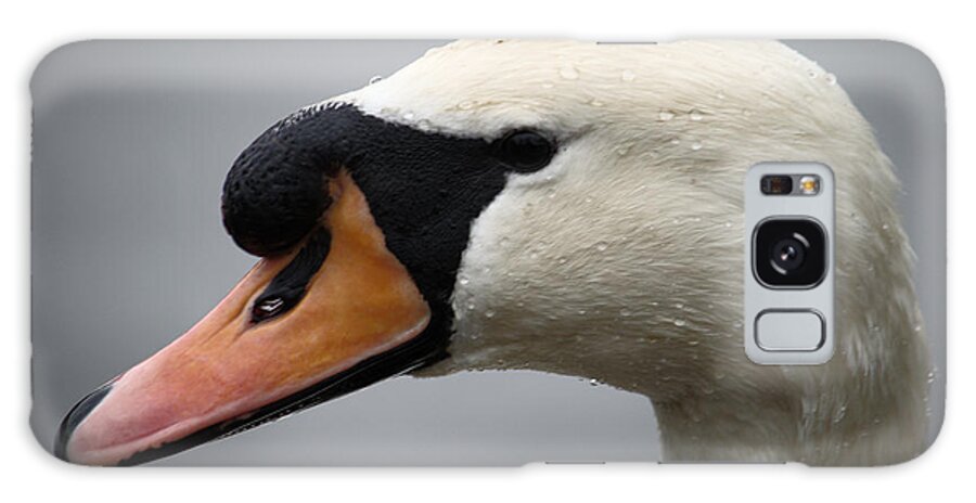 Mute Galaxy Case featuring the photograph Mute Swan Closeup by Adrian Wale