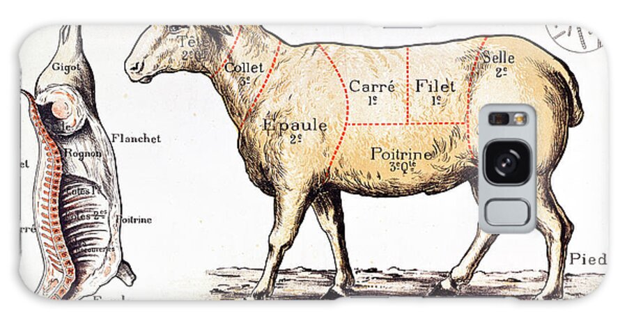 Le Mouton; Lamb; Sheep; Joint; Cut; Meat; Food; Animal; Mutton; Butchering Galaxy Case featuring the drawing Mutton by French School