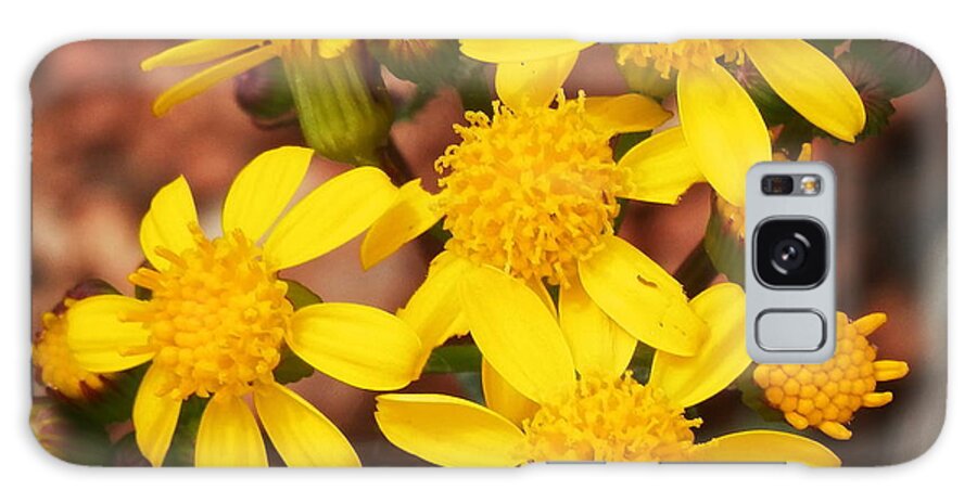 Yellow Blooms Galaxy Case featuring the photograph My happy place by Barbara Leigh Art