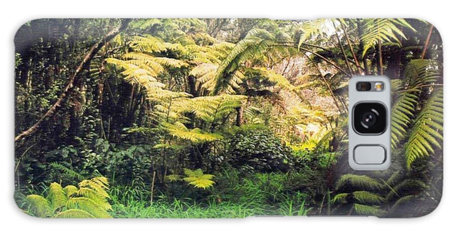Leaves Galaxy Case featuring the photograph Natural Safari by Ee Photography