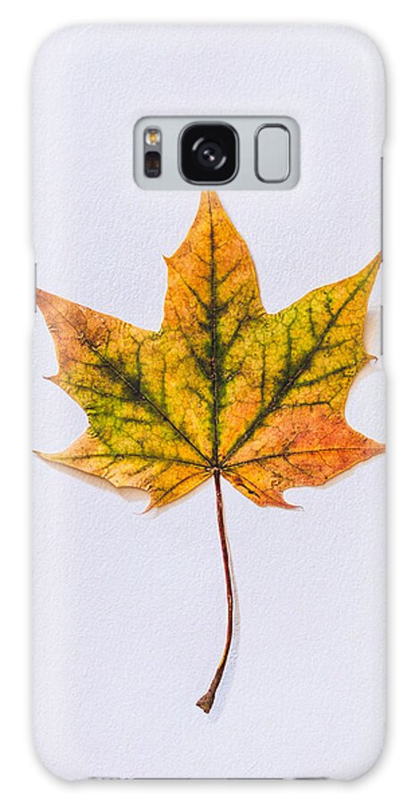Autumn Colours Galaxy Case featuring the photograph Natures Art by Kate Morton