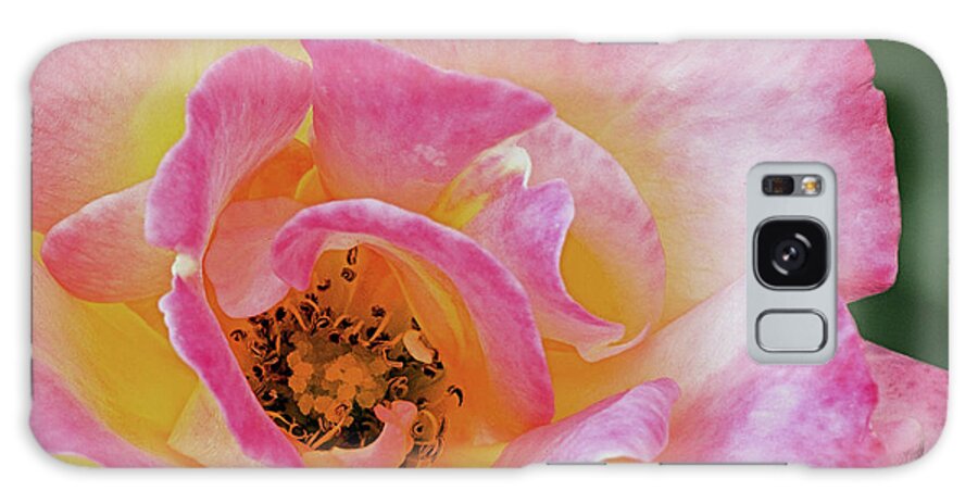 Flower Galaxy Case featuring the photograph Nature's Beauty by Ed Clark