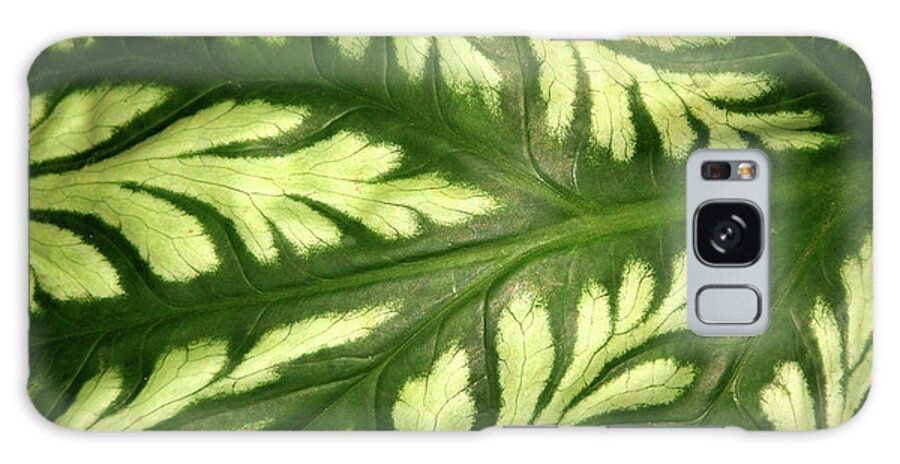 Leaf Galaxy Case featuring the photograph Nature's Design by Mariarosa Rockefeller