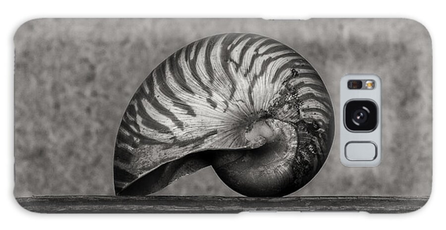 Seashell Galaxy Case featuring the photograph Nautilus by Clayton Bastiani