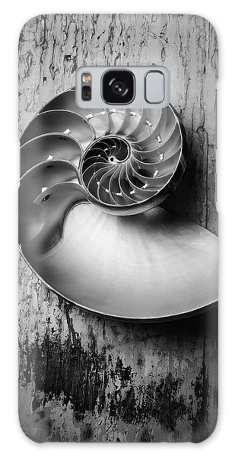 Chambered Nautilus Galaxy Case featuring the photograph Nautilus In Black And White by Garry Gay
