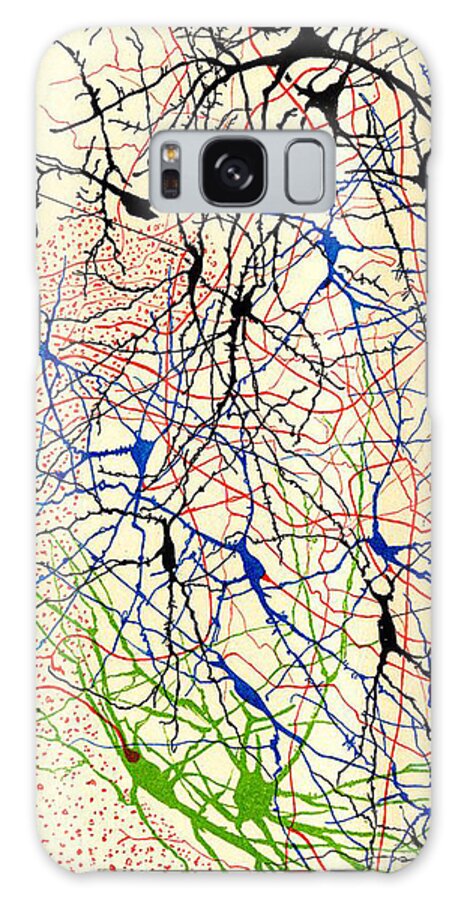 History Galaxy Case featuring the photograph Nerve Cells Santiago Ramon y Cajal by Science Source