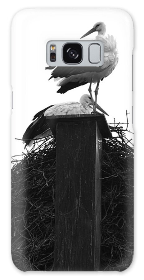 Nesting Stork Galaxy S8 Case featuring the photograph Nesting storks by Matt MacMillan