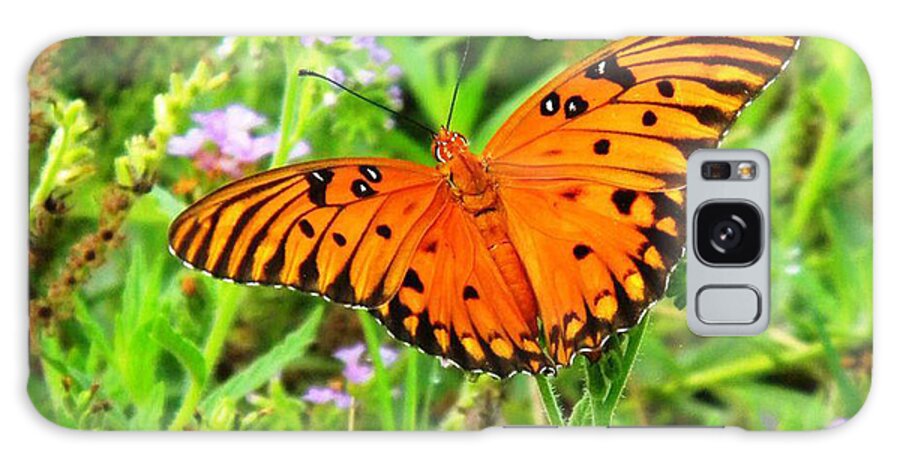 Nature Galaxy Case featuring the digital art Orange Butterly Windows From Heaven by Matthew Seufer