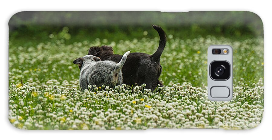 Puppies Galaxy Case featuring the photograph New friends by Metaphor Photo