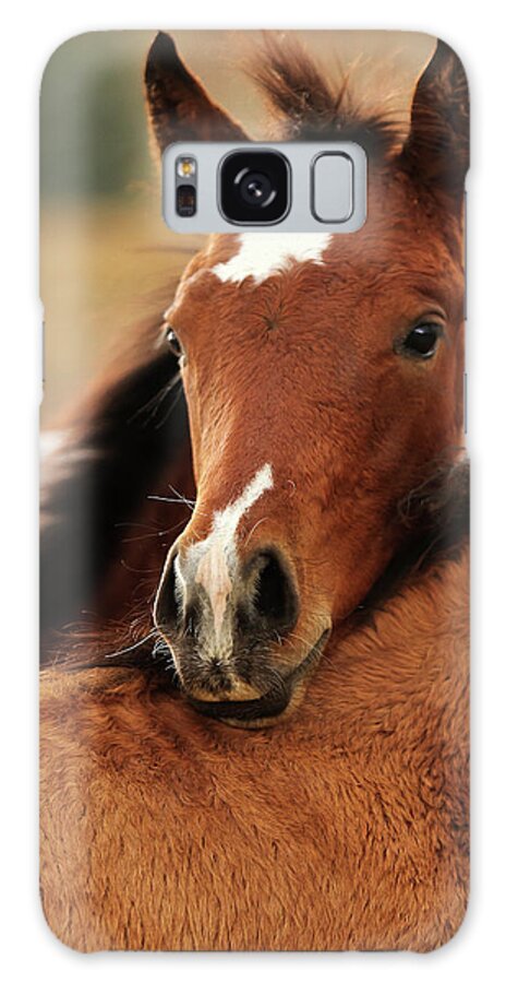 Foal Galaxy S8 Case featuring the photograph New Life by Sharon Jones