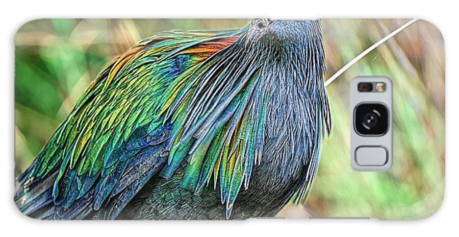Birds Feeding Galaxy S8 Case featuring the photograph Nicobar Closeup by Judy Kay