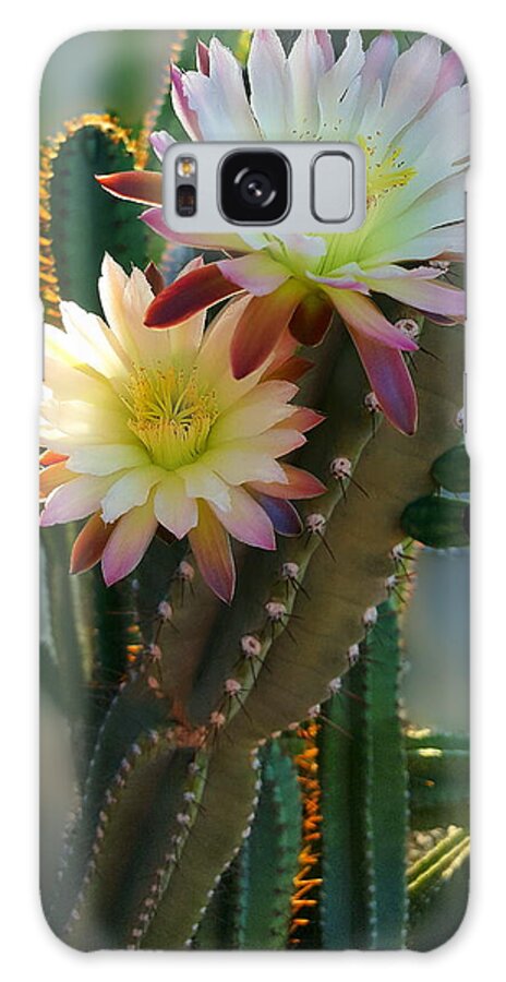 Night-blooming Cactus Galaxy Case featuring the photograph Night-Blooming Cereus 4 by Marilyn Smith