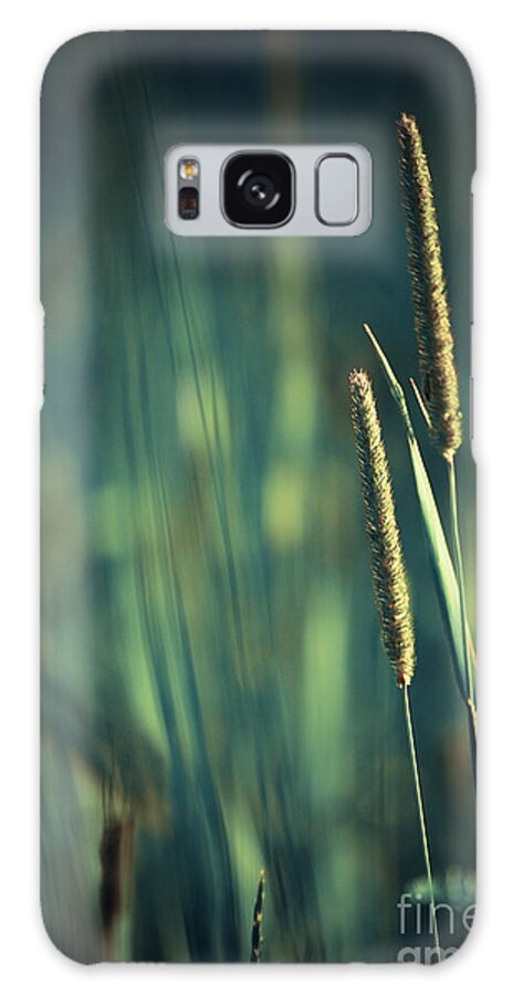 Green Photographs Galaxy Case featuring the photograph Night Whispers by Aimelle Ml