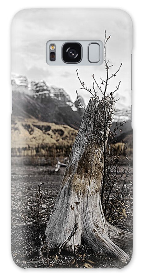 Tree Galaxy Case featuring the photograph Nizina River Tree Stump by Fred Denner