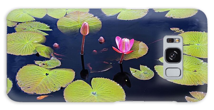 Pink Galaxy Case featuring the photograph No Man's Land by Michiale Schneider