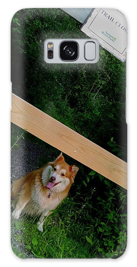  Galaxy Case featuring the photograph No Rules by Brad Nellis