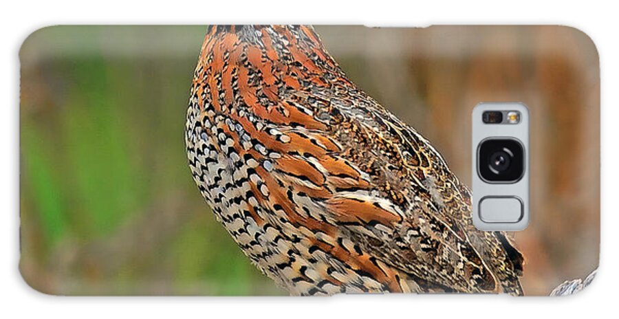 Northern Bobwhite Galaxy Case featuring the photograph Northern Bobwhite by Dave Mills