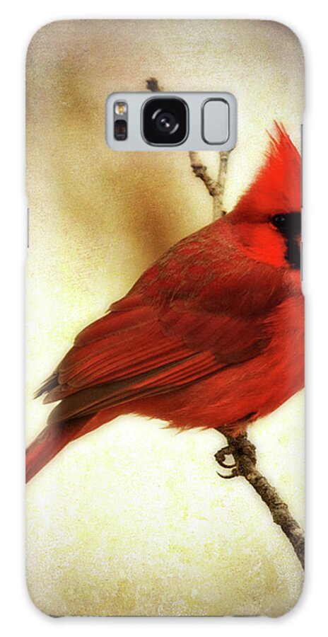 backyard Birds Galaxy Case featuring the photograph Northern Cardinal by Lana Trussell