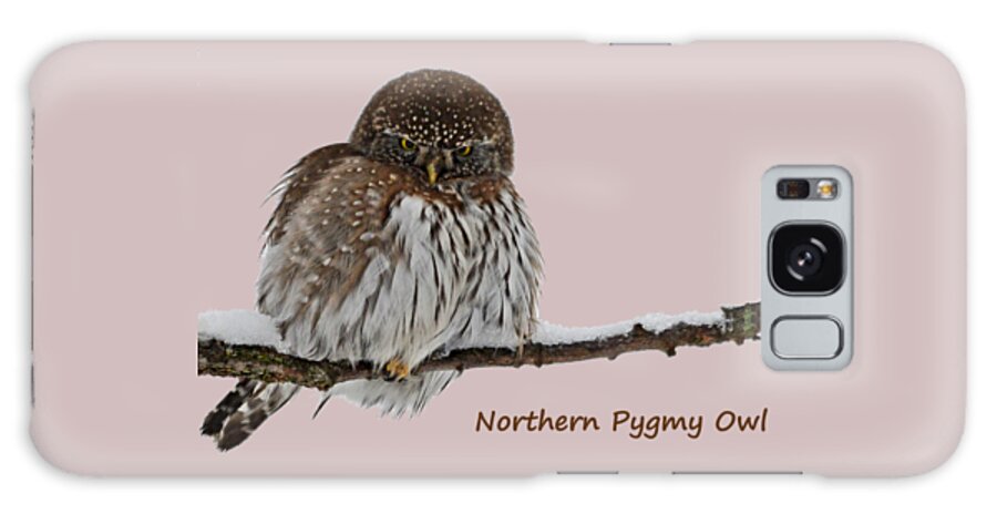 Owl Galaxy Case featuring the photograph Northern Pygmy Owl 2 by Whispering Peaks Photography