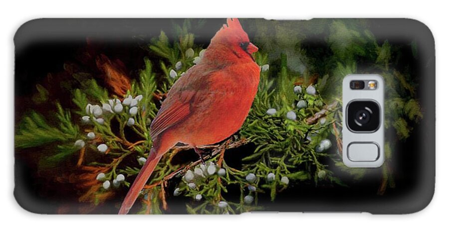 Bird Galaxy Case featuring the photograph Northern Scarlet Cardinal on White Berries by Janette Boyd