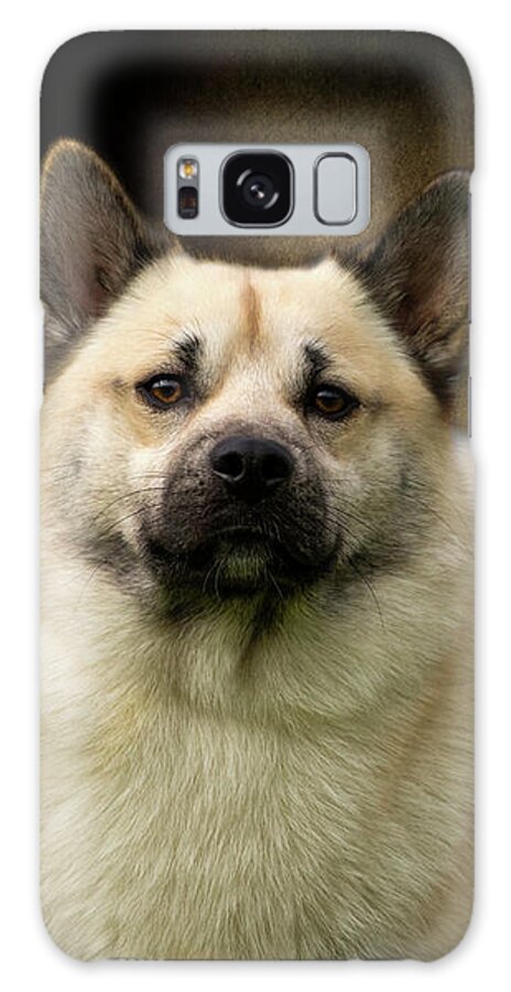 Buhund Galaxy Case featuring the photograph Norwegian Buhund by Diana Andersen