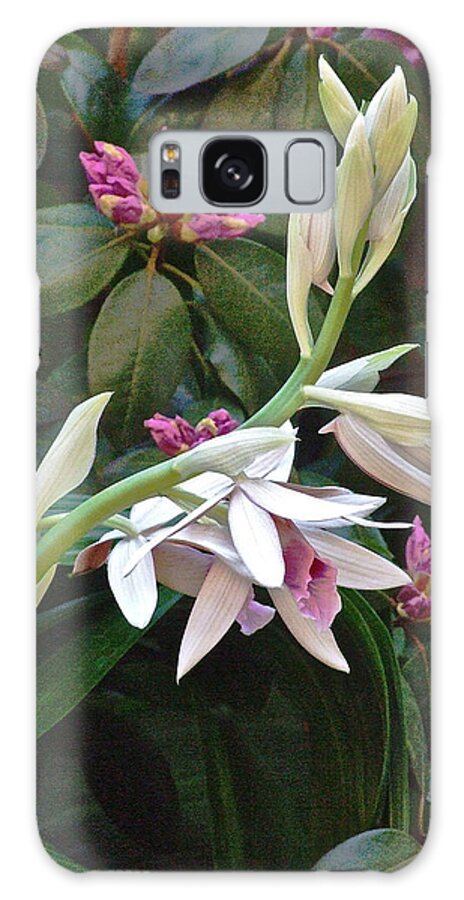  Orchid Galaxy S8 Case featuring the photograph Nun Orchid by Janis Senungetuk