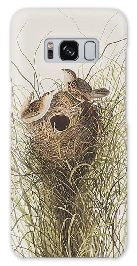 Wren Galaxy Case featuring the painting Nuttall's lesser-marsh Wren by John James Audubon