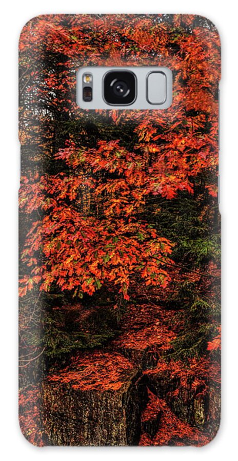 Autumn Galaxy Case featuring the photograph Oak On The Rocks by Dale Kauzlaric