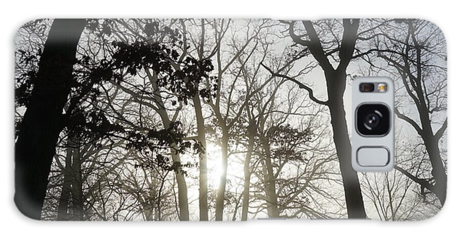 Fog Galaxy Case featuring the photograph Oaks in Silhouette by Brooke Bowdren