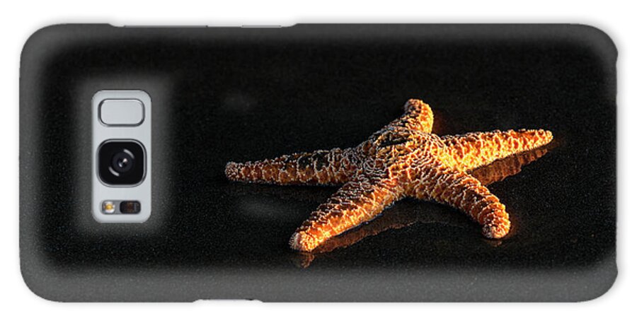 Animals Galaxy Case featuring the photograph Ochre Seastar on the Beach by Robert Potts