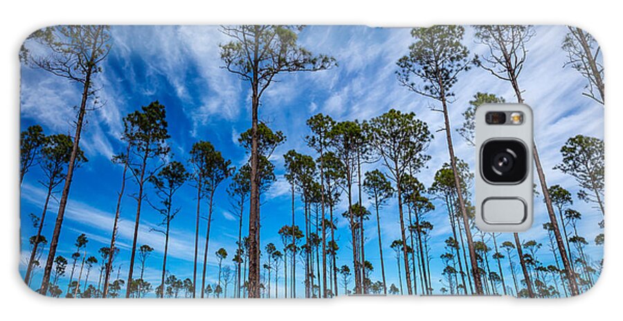 Art Galaxy Case featuring the photograph Okefenokee Sky by Gary Migues