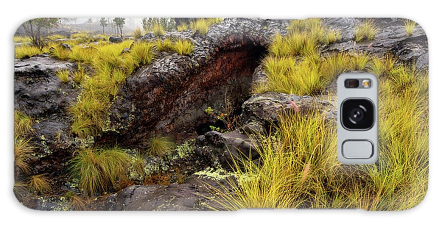 Landscape Galaxy Case featuring the photograph Old Lava Flow by Christopher Johnson