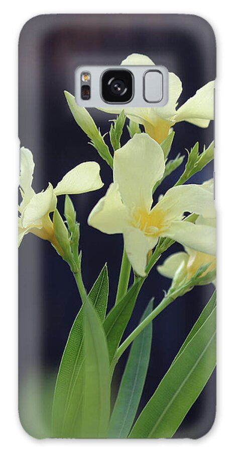 Oleander Galaxy Case featuring the photograph Oleander Marie Gambetta 2 by Wilhelm Hufnagl