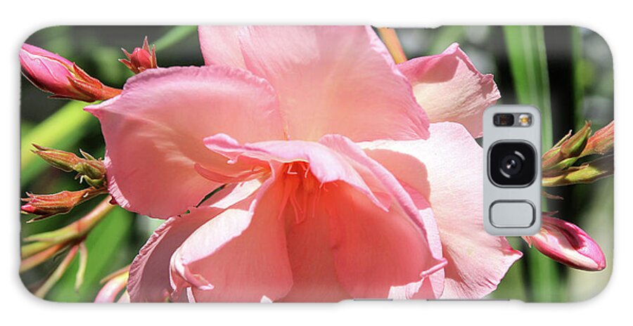 Oleander Galaxy Case featuring the photograph Oleander Mrs. Roeding 3 by Wilhelm Hufnagl