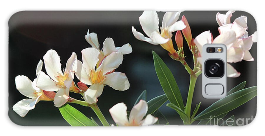 Oleander Galaxy Case featuring the photograph Oleander Petite Salmon 2 by Wilhelm Hufnagl