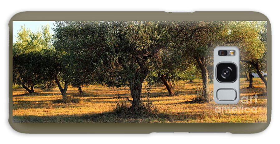 Symbol Galaxy Case featuring the photograph Olive Grove 3 by Angela Rath