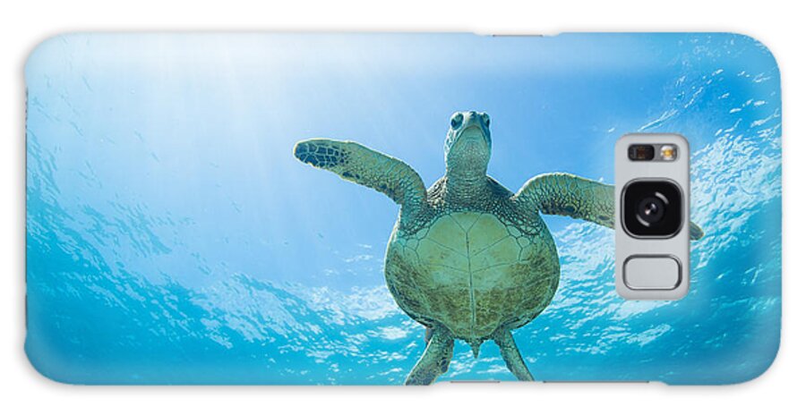Turtle Galaxy Case featuring the photograph Olowalu Honu by Drew Sulock