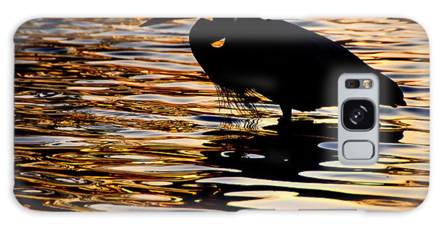 Birds Galaxy Case featuring the photograph On Golden Pond by Neil Shapiro