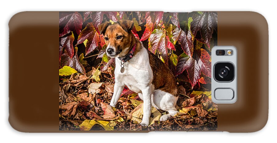 Dog Galaxy Case featuring the photograph On the Leaves by Nick Bywater