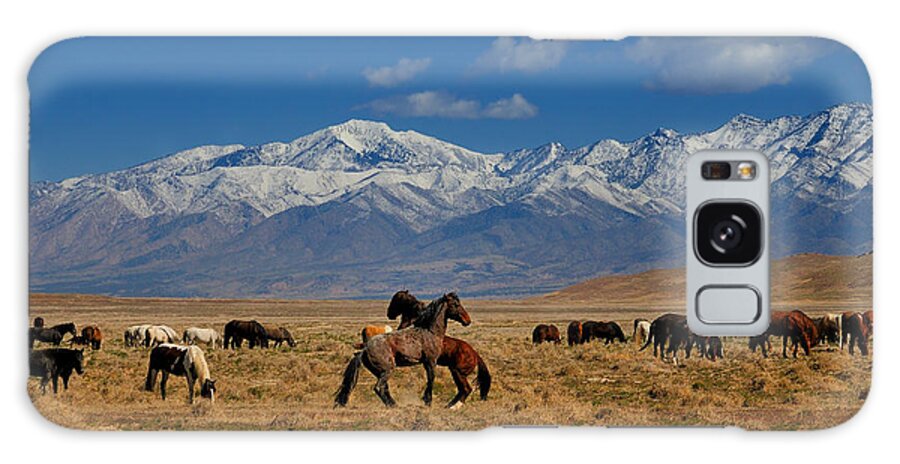 Wild Horses Galaxy Case featuring the photograph Onaqui Wild Horses by Greg Norrell