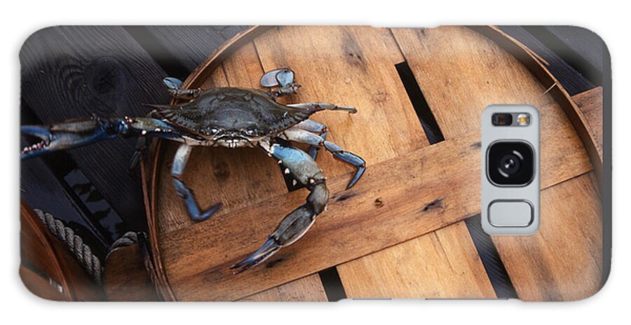 Crab Galaxy Case featuring the photograph One Angry Crab by Skip Willits