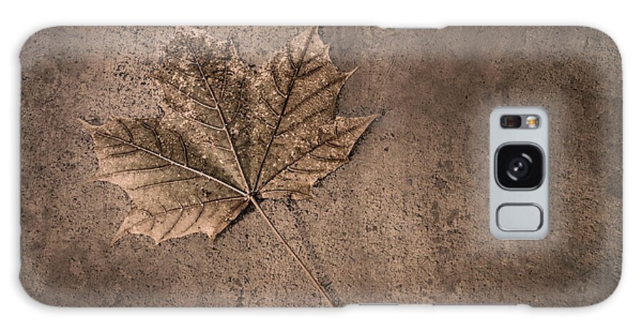 Scott Norris Photography Galaxy Case featuring the photograph One Leaf December 1st by Scott Norris