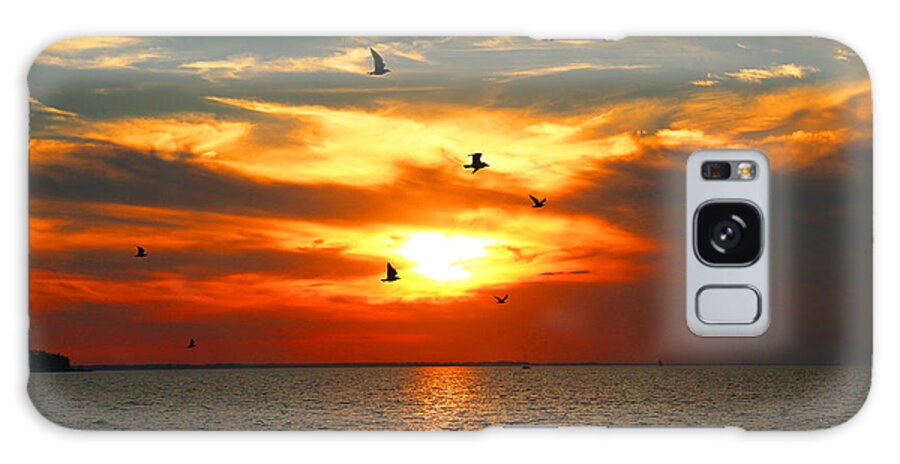 Landscape Galaxy Case featuring the photograph Oneida Lake Sunset by David Stasiak