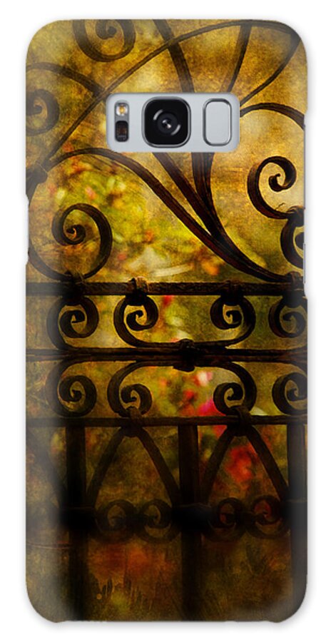 Gate Galaxy Case featuring the photograph Open Iron Gate by Susanne Van Hulst