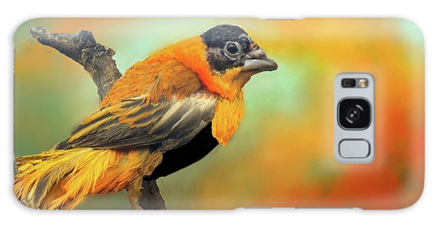 Finch Galaxy Case featuring the photograph Orange Bishop Weaver Finch by Janette Boyd